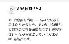 MRS�{�p�@�Ƃ�